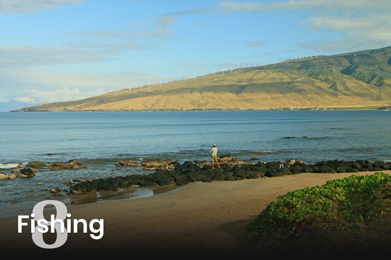 15 Things To Do In Maui Hawaii