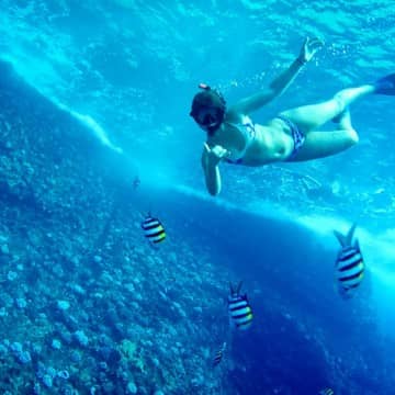 Snorkeling with fish in maui