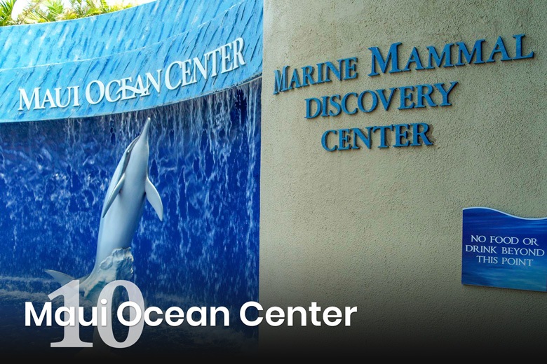 Maui Ocean Center