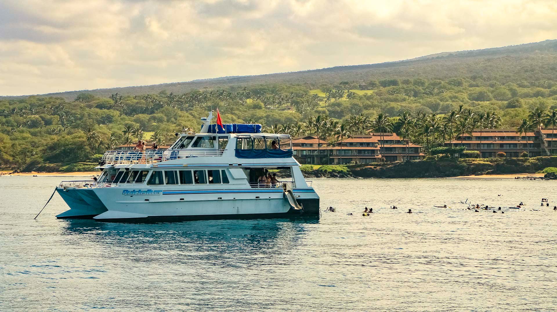 Maui Snorkel