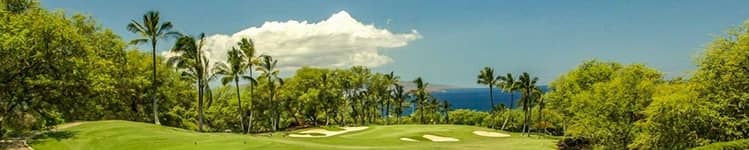 Wailea Gold Course