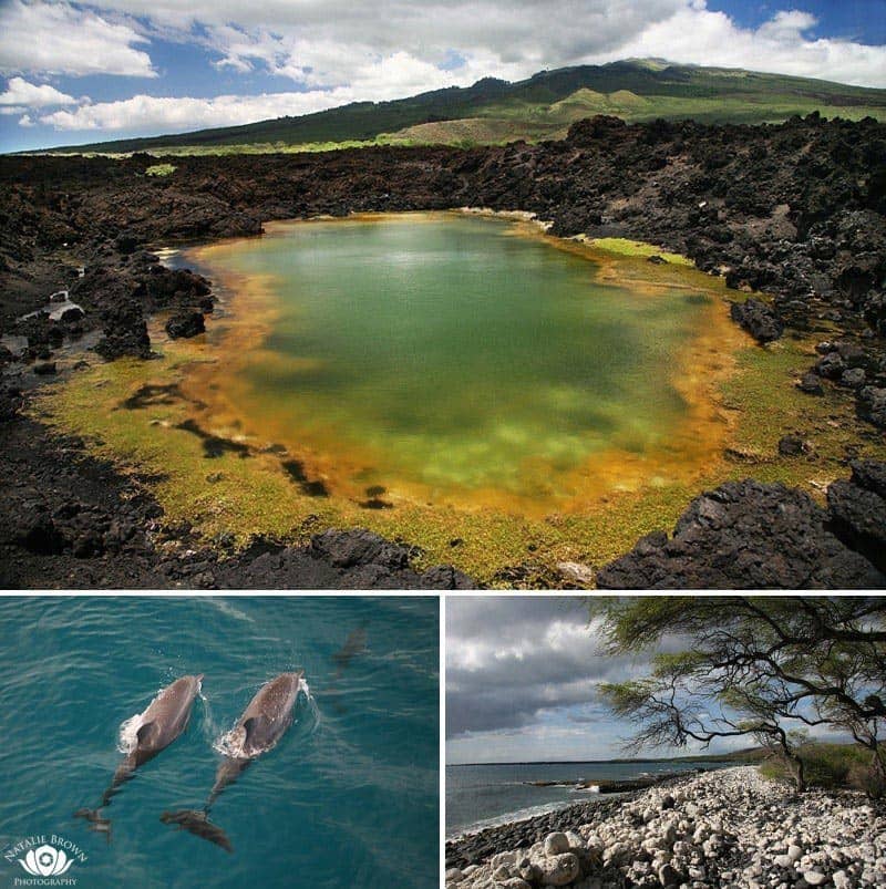 La Perouse snorkel tours