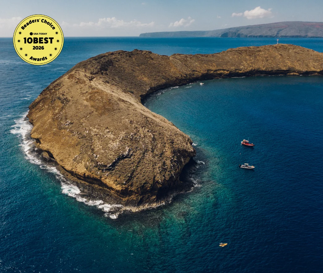 molokin snorkel tour witha usa today readers choice 10 best icon on top